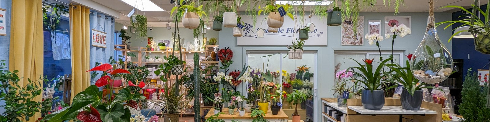 Visite de la boutique 360