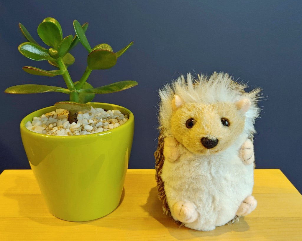 Petie hérison pour cadeau de naissance