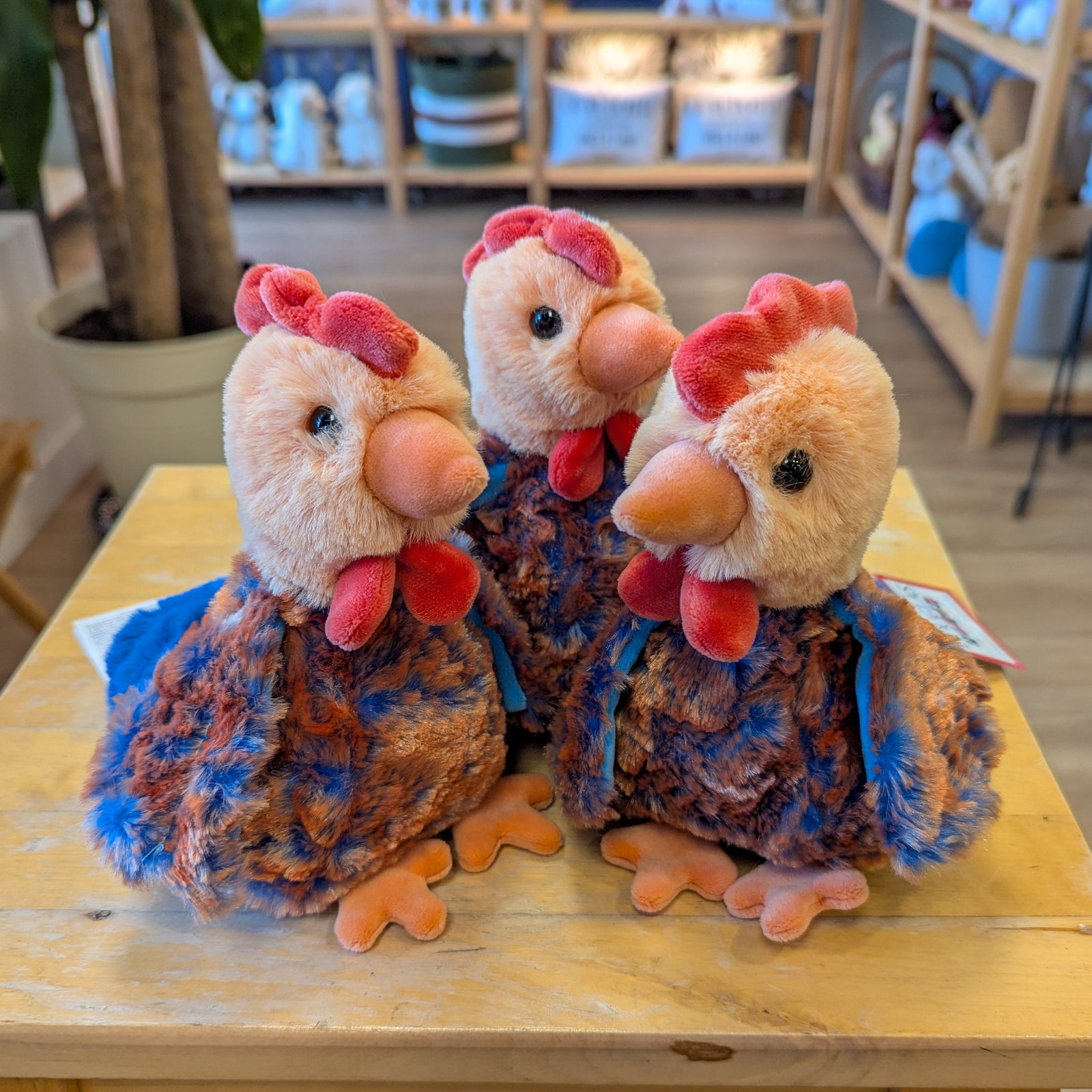 Peluche - Poule Chantillie