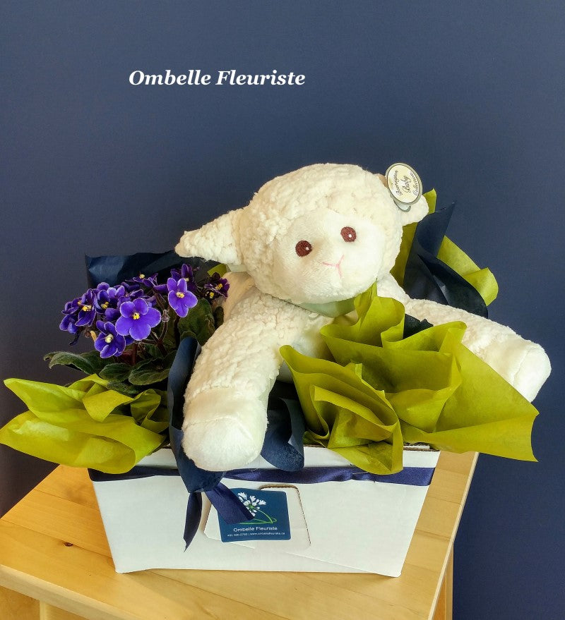 Violette africaine ainsi qu'une belle peluche de mouton blanc