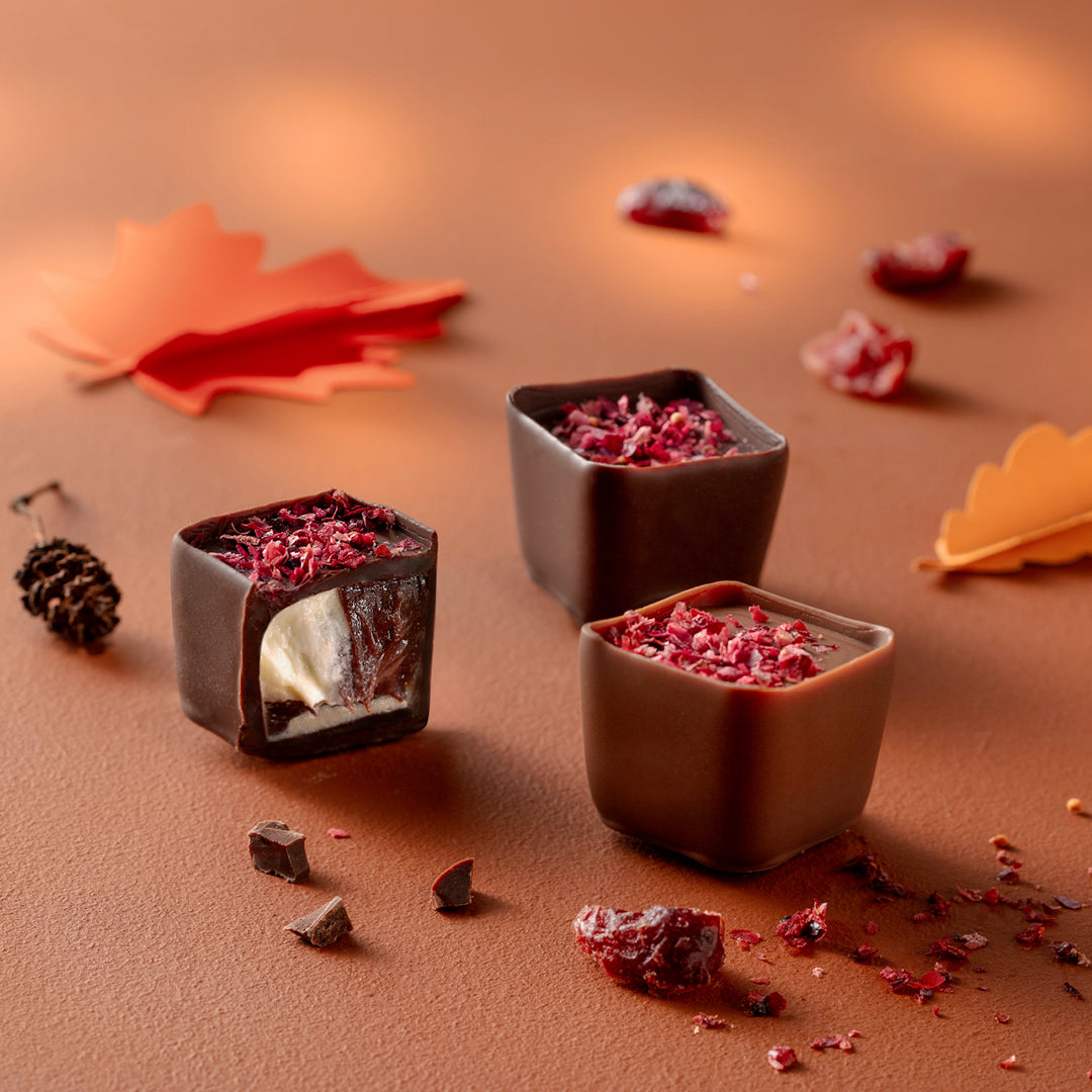 Chocolats Leonidas automne