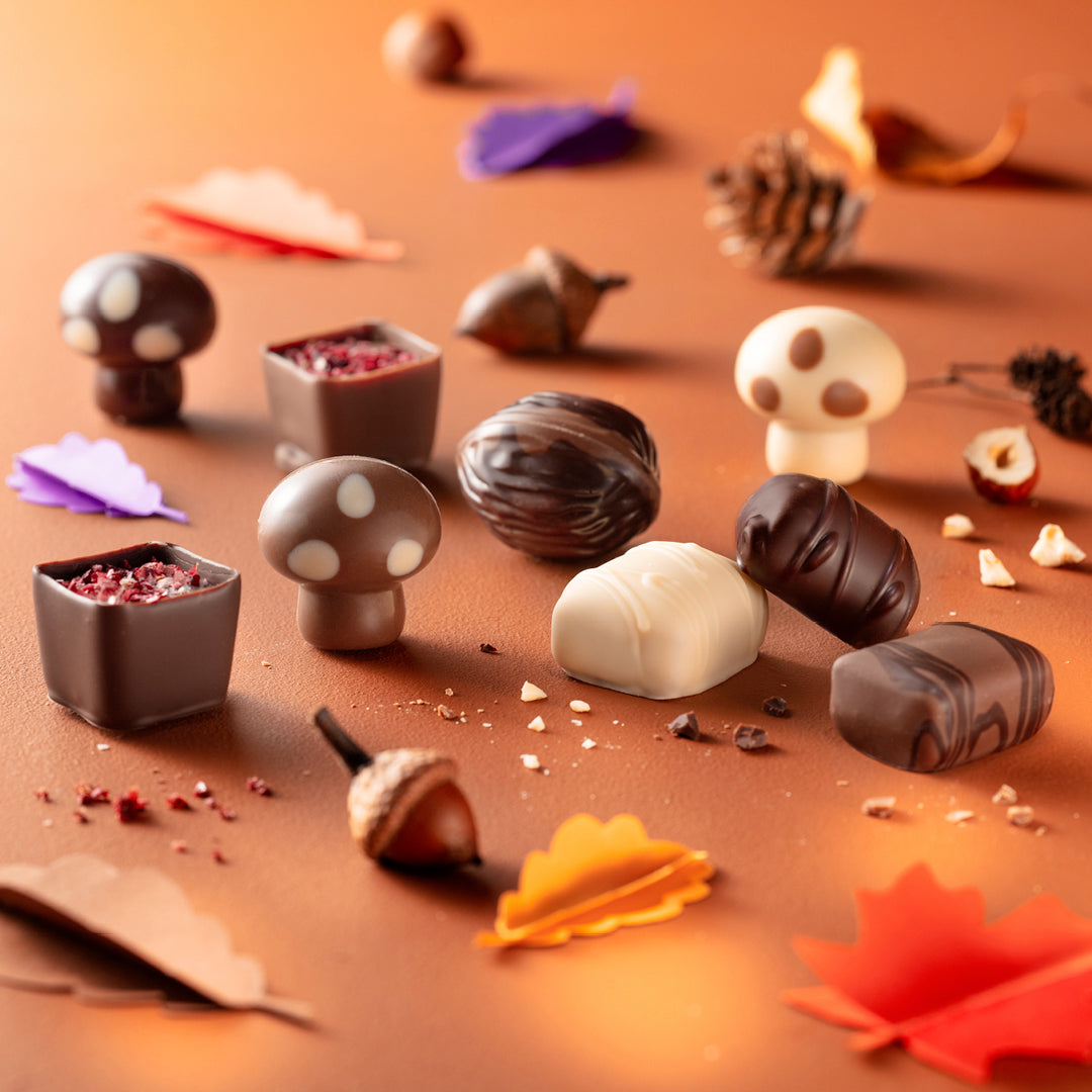 Chocolats Leonidas automne