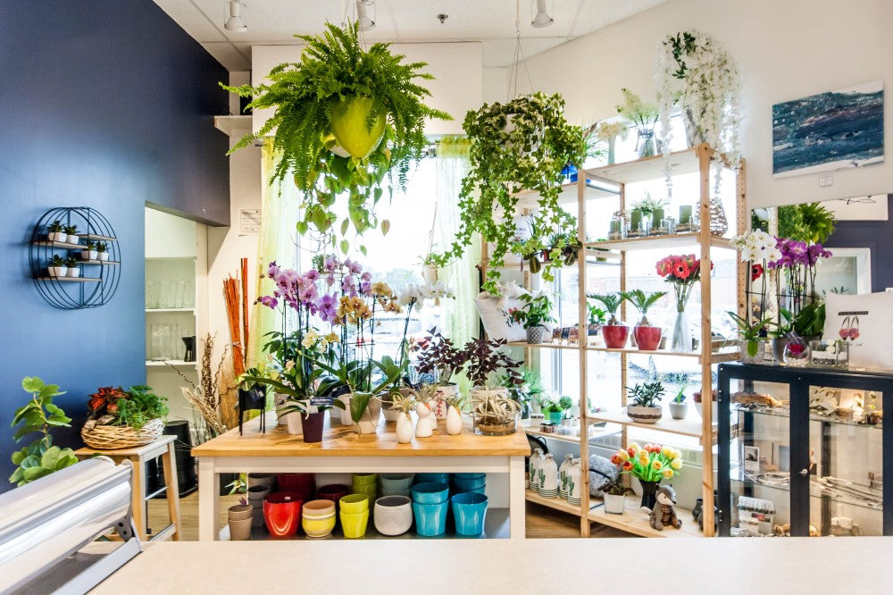 Aperçu de la boutique Ombelle Fleuriste