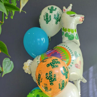 Ballons | Bouquets de ballons