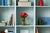 Bouquet de roses sur l'étagère - Lego 10328