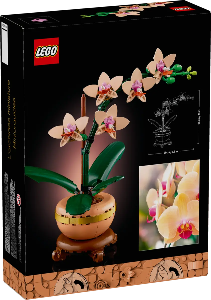 Dos de la boîte de la mini orchidée - Lego 10343
