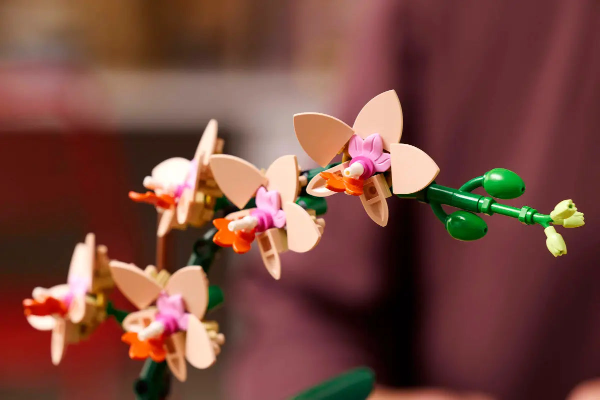 Plan rapproché de la mini orchidée - Lego 10343