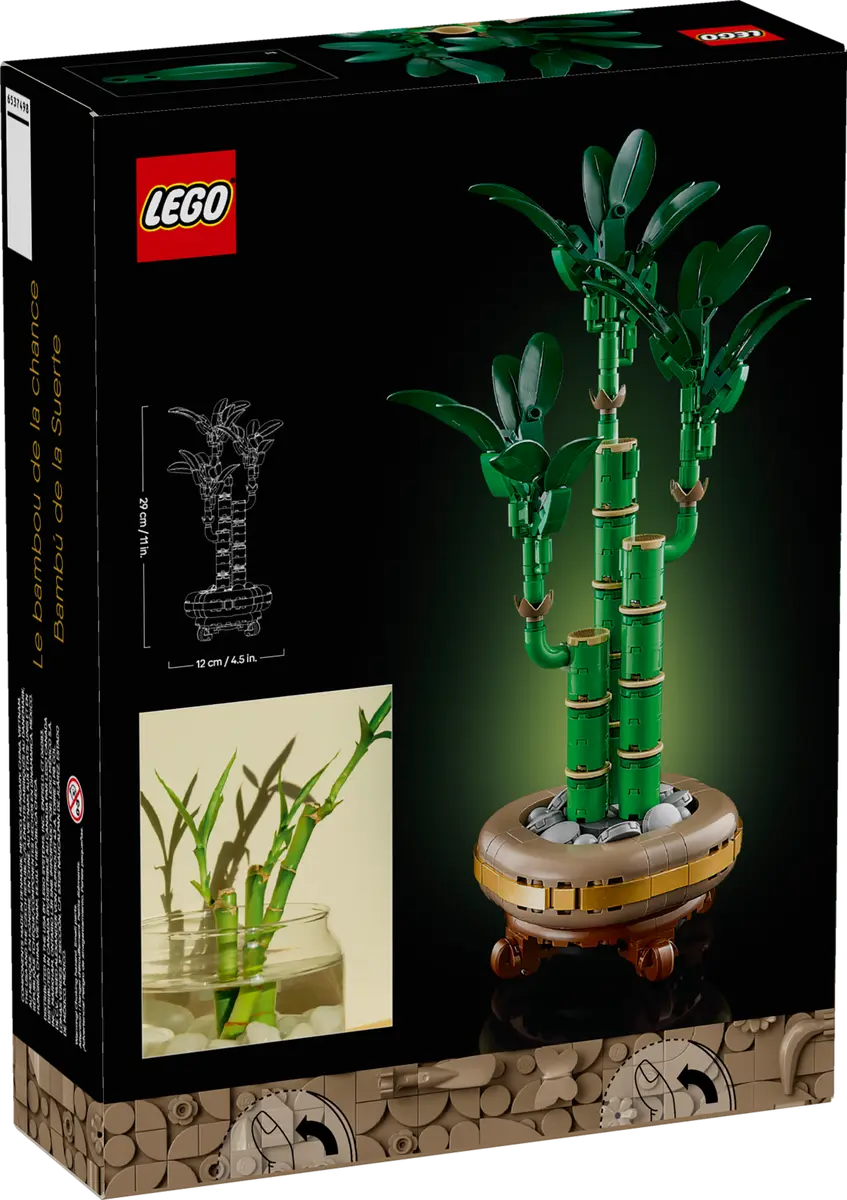 Dos de la boîte bambou 10344
