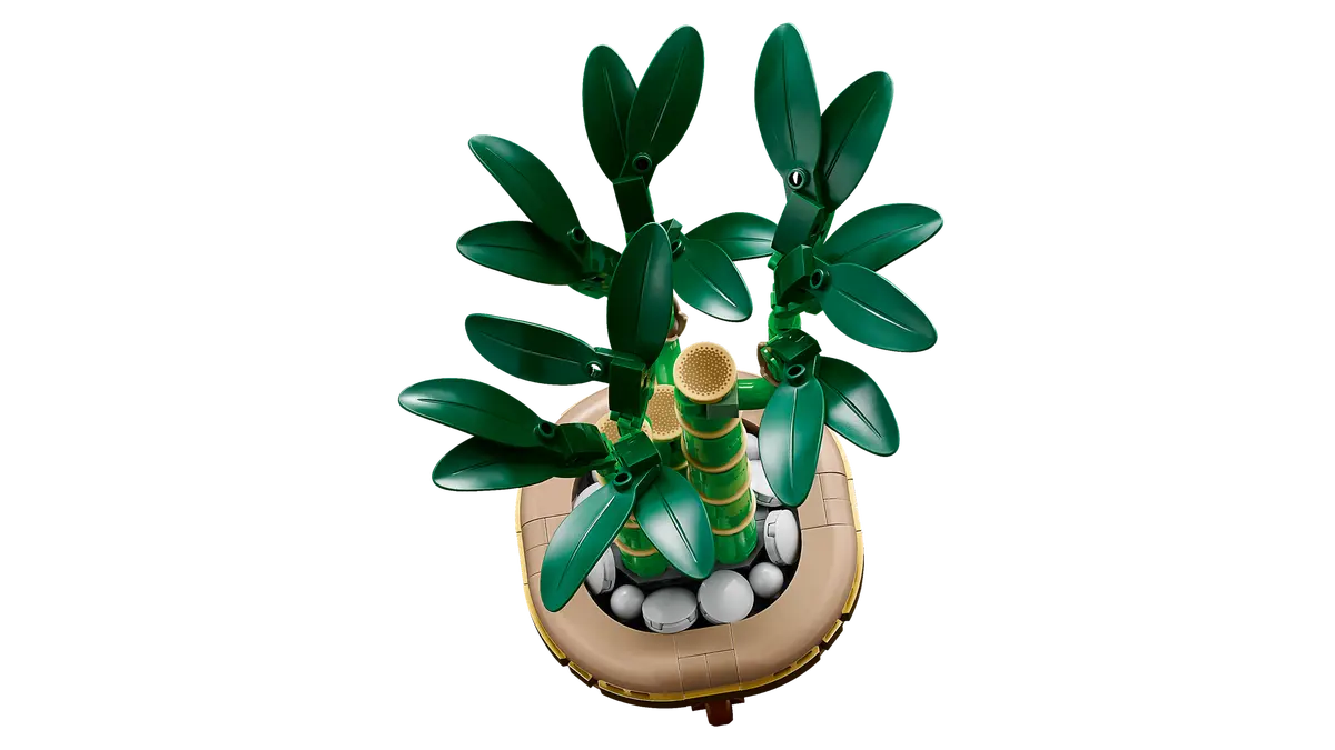 Plan du dessus du bambou Lego 10344