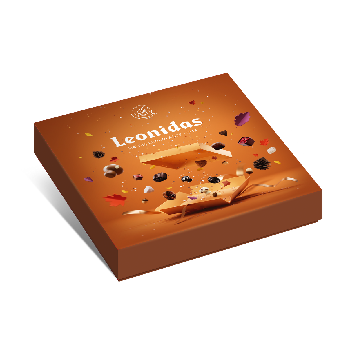 Coffret carré heritage Medium automne 6111547