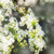 Arrangement floral Funéraire à St-Basile