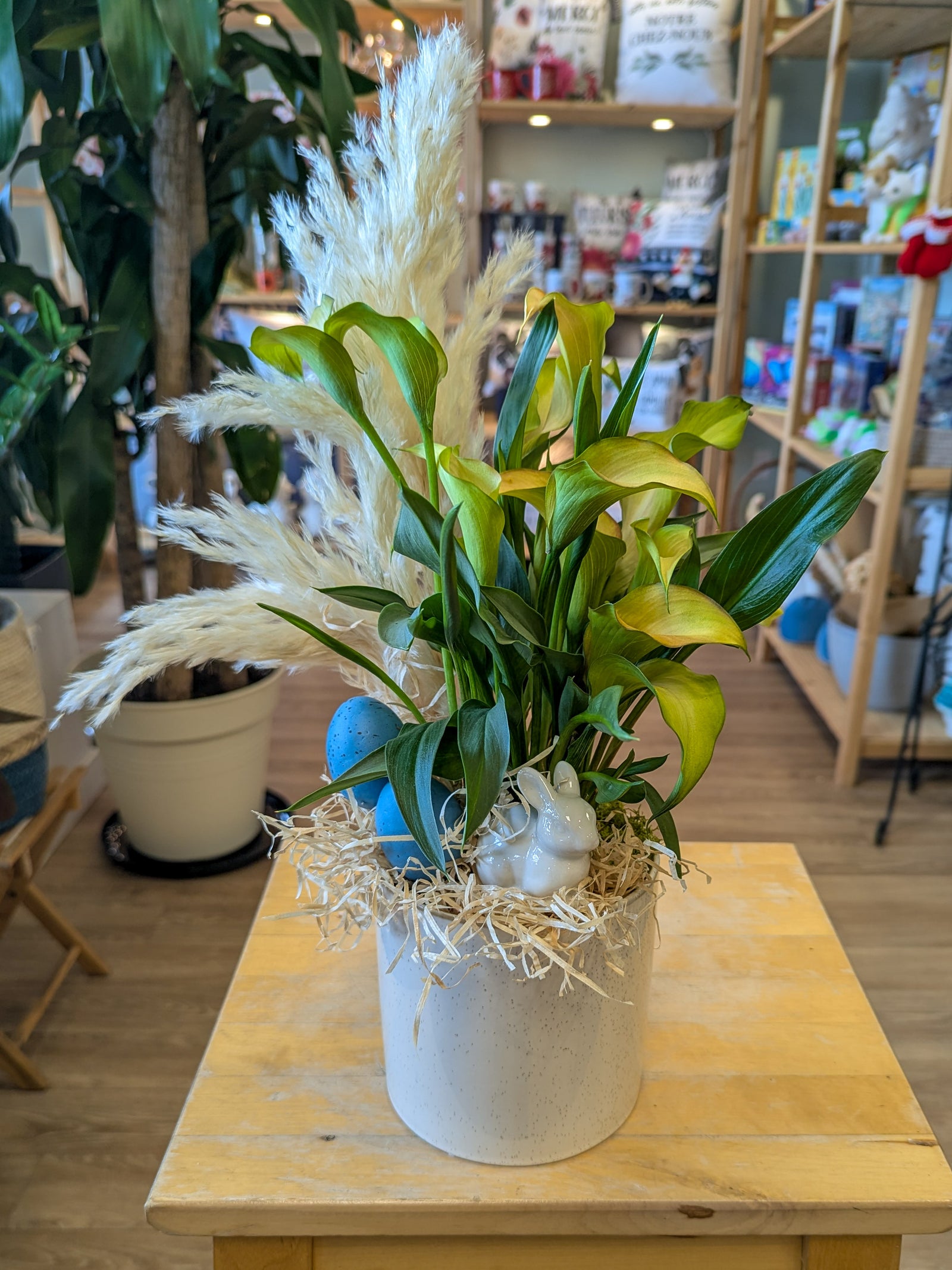 Callas (Zantedeschia) - 4 po