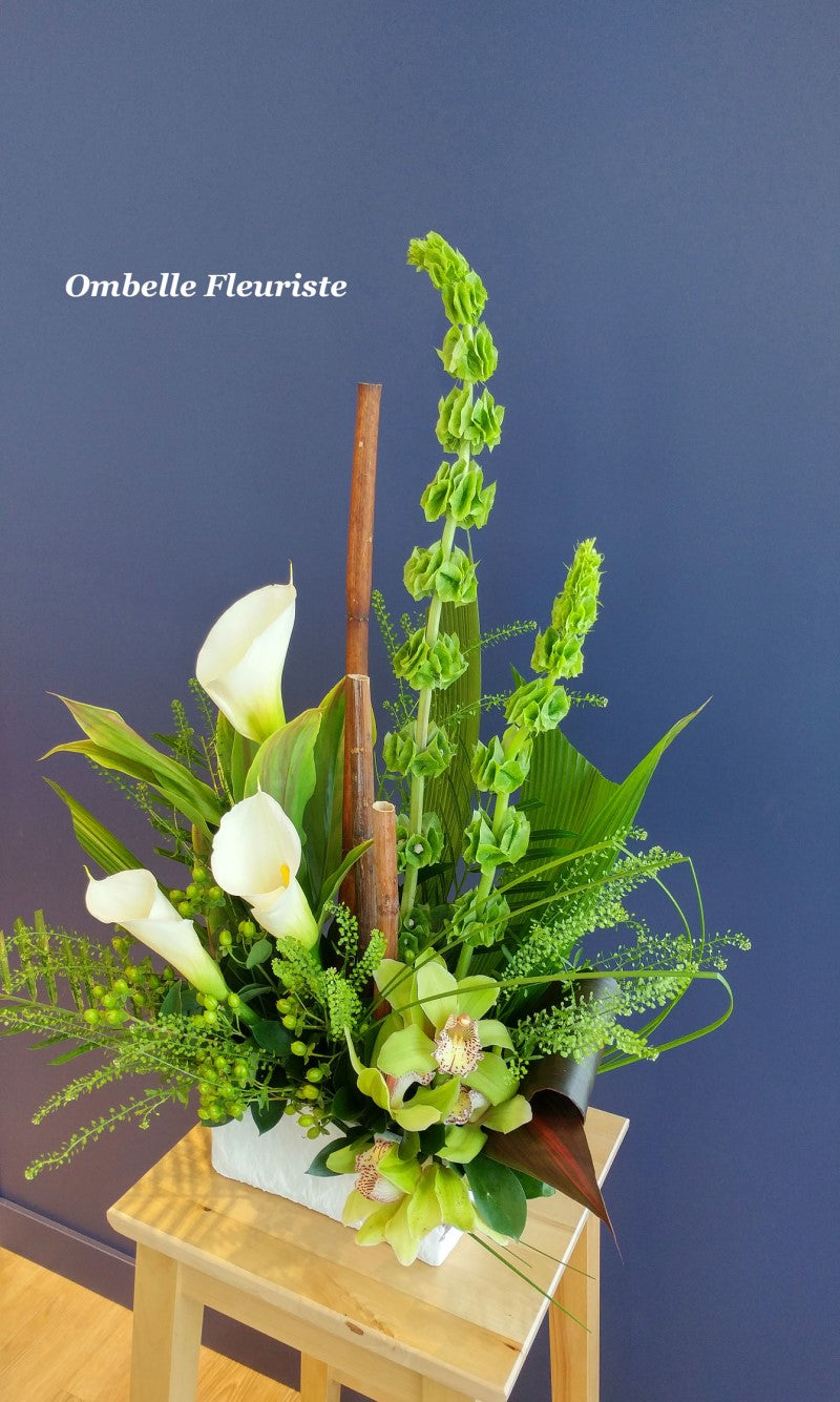 Funéraire corbeille calla orchidée vert blanc