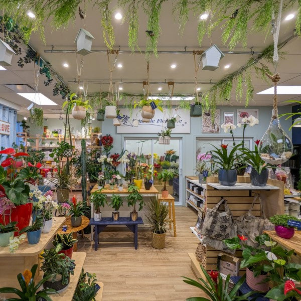 Visite de la boutique 360