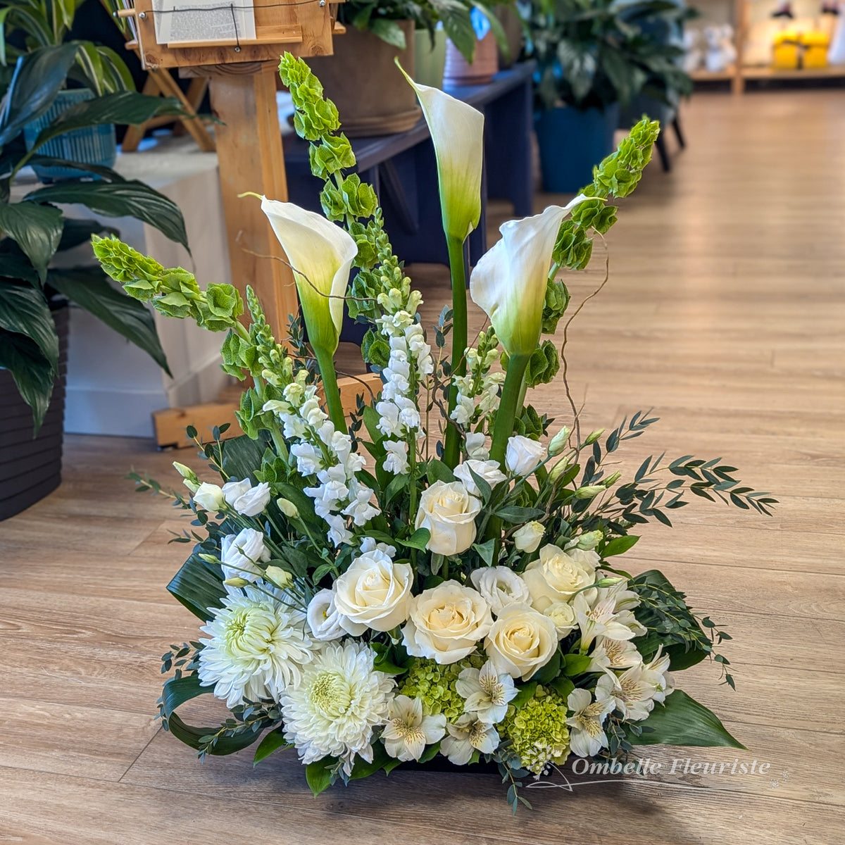 Sincérité grosseur moyen