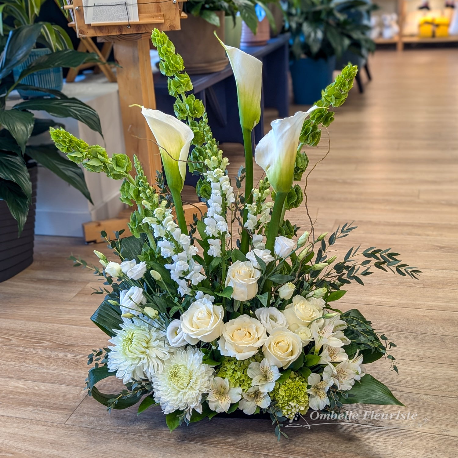 Sincérité grosseur moyen