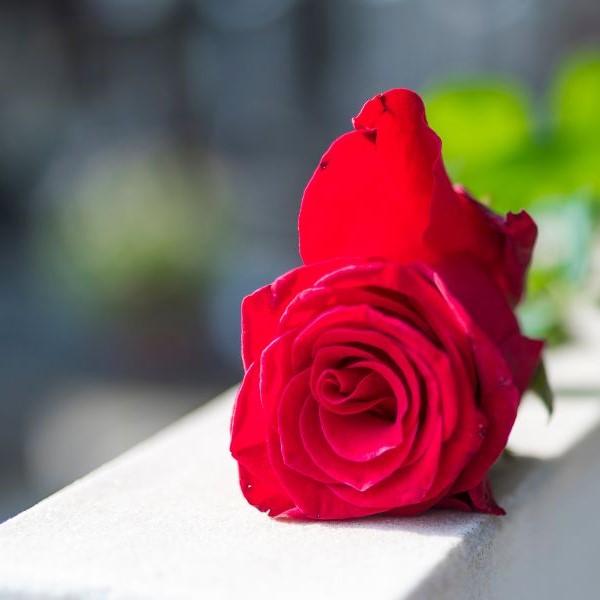 Fleuriste pour deuil