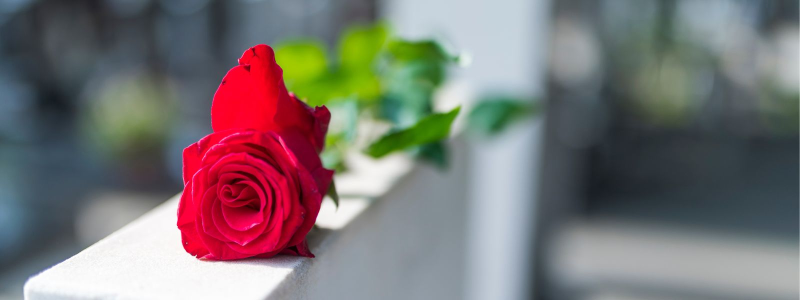 Fleuriste pour deuil