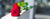 Fleuriste pour deuil