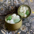 Bougie Renard Noir - Sapin Vert