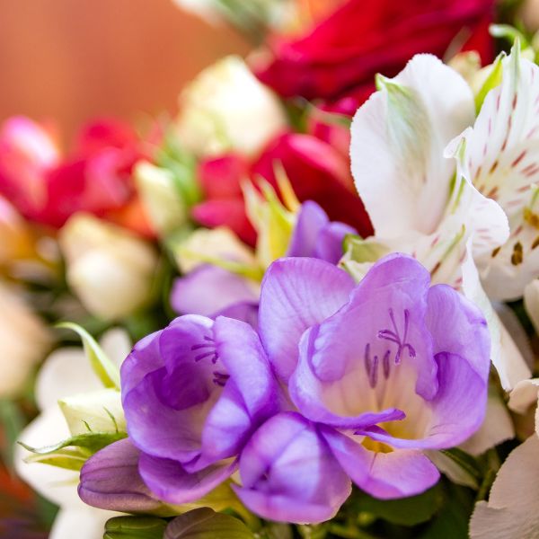 Catégorie bouquets et créations