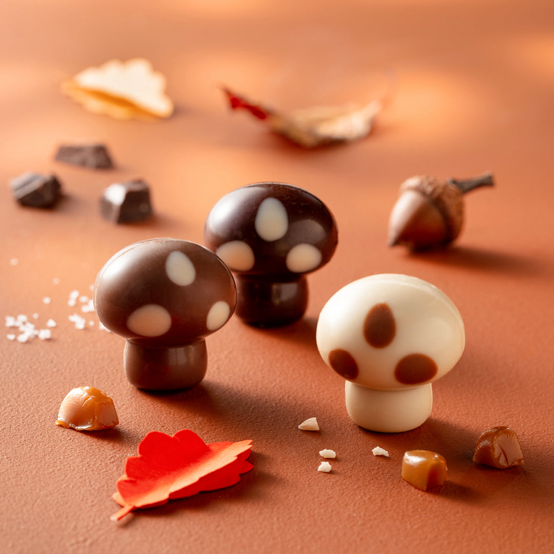 Chocolats Leonidas automne