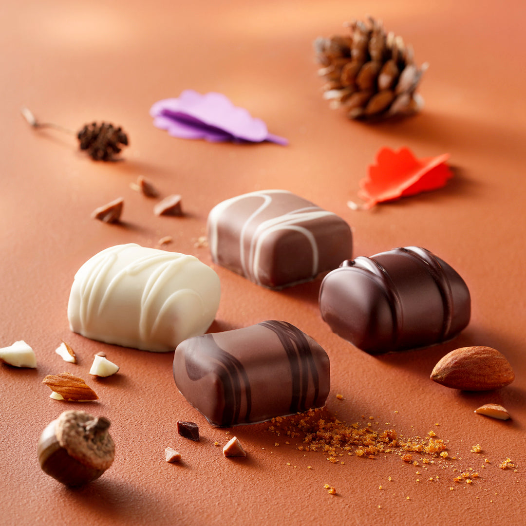 Chocolats Leonidas automne