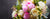 Fleuriste Saint-Lambert - Images d'un bouquet de fleurs