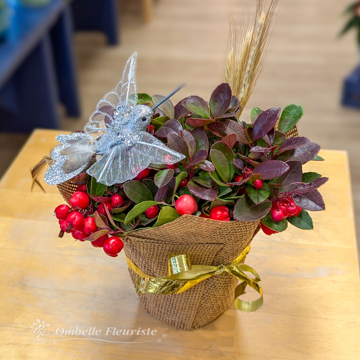Gaultheria avec colibri argent