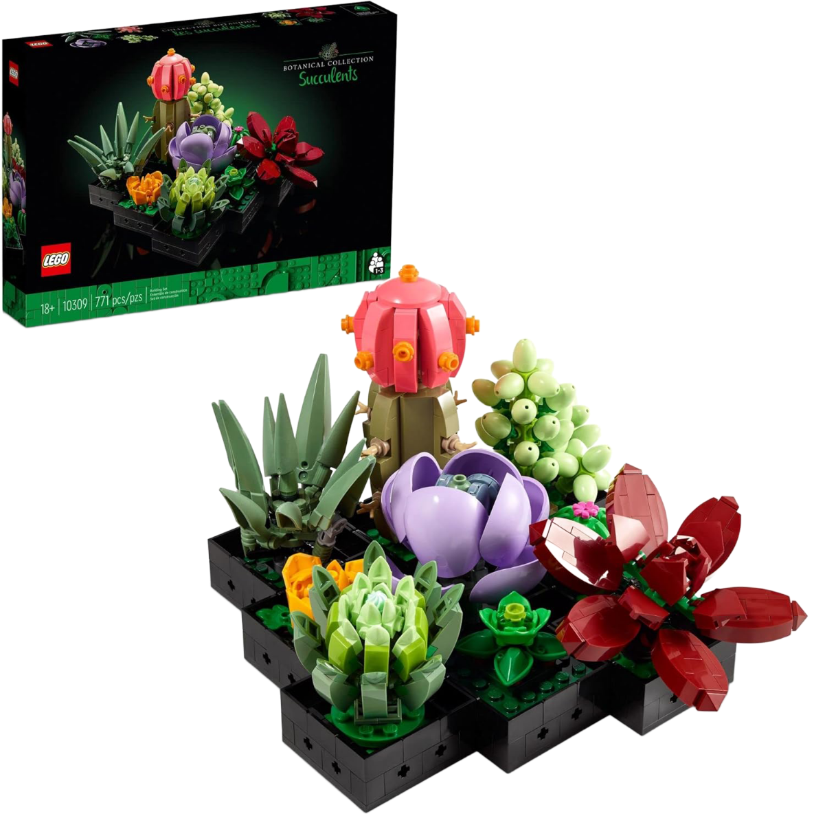 Jardin de succulentes avec la boîte - Lego 10309