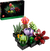 Jardin de succulentes avec la boîte - Lego 10309
