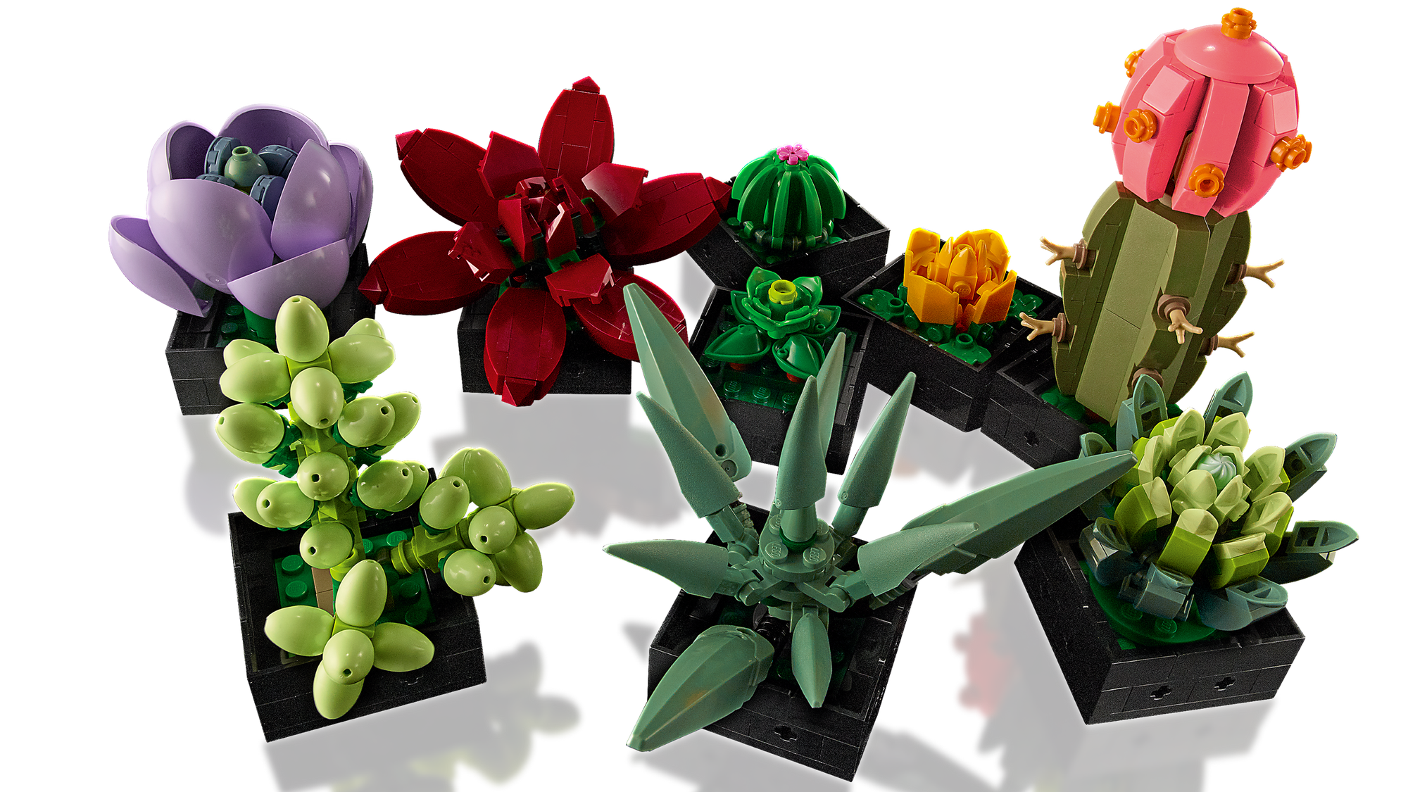 Jardin de succulentes - Lego 10309
