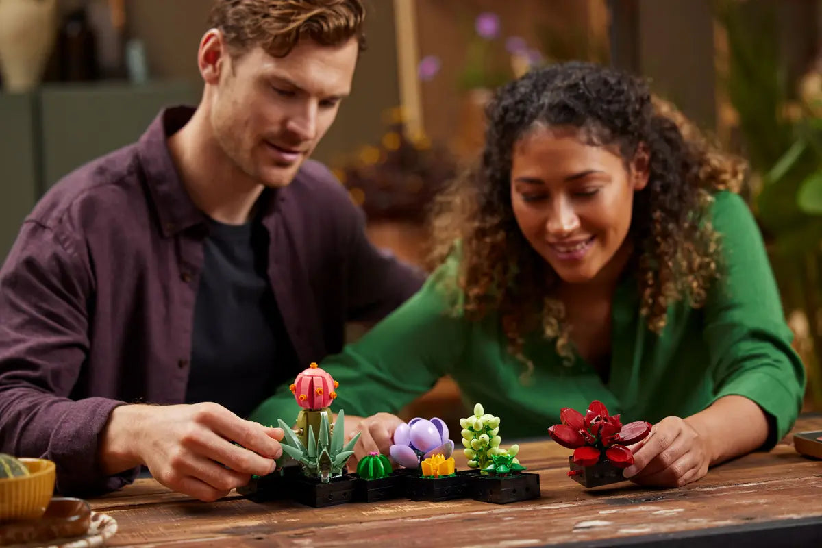 Personnes entrain de construire le jardin de succulentes - Lego 10309