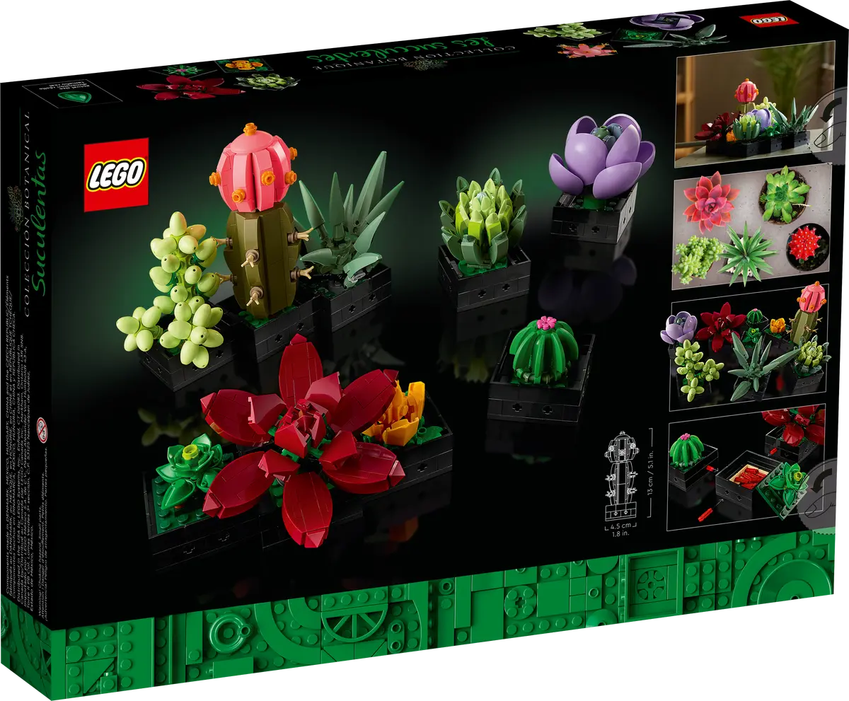 Dos de la boîte du jardin de succulentes - Lego 10309