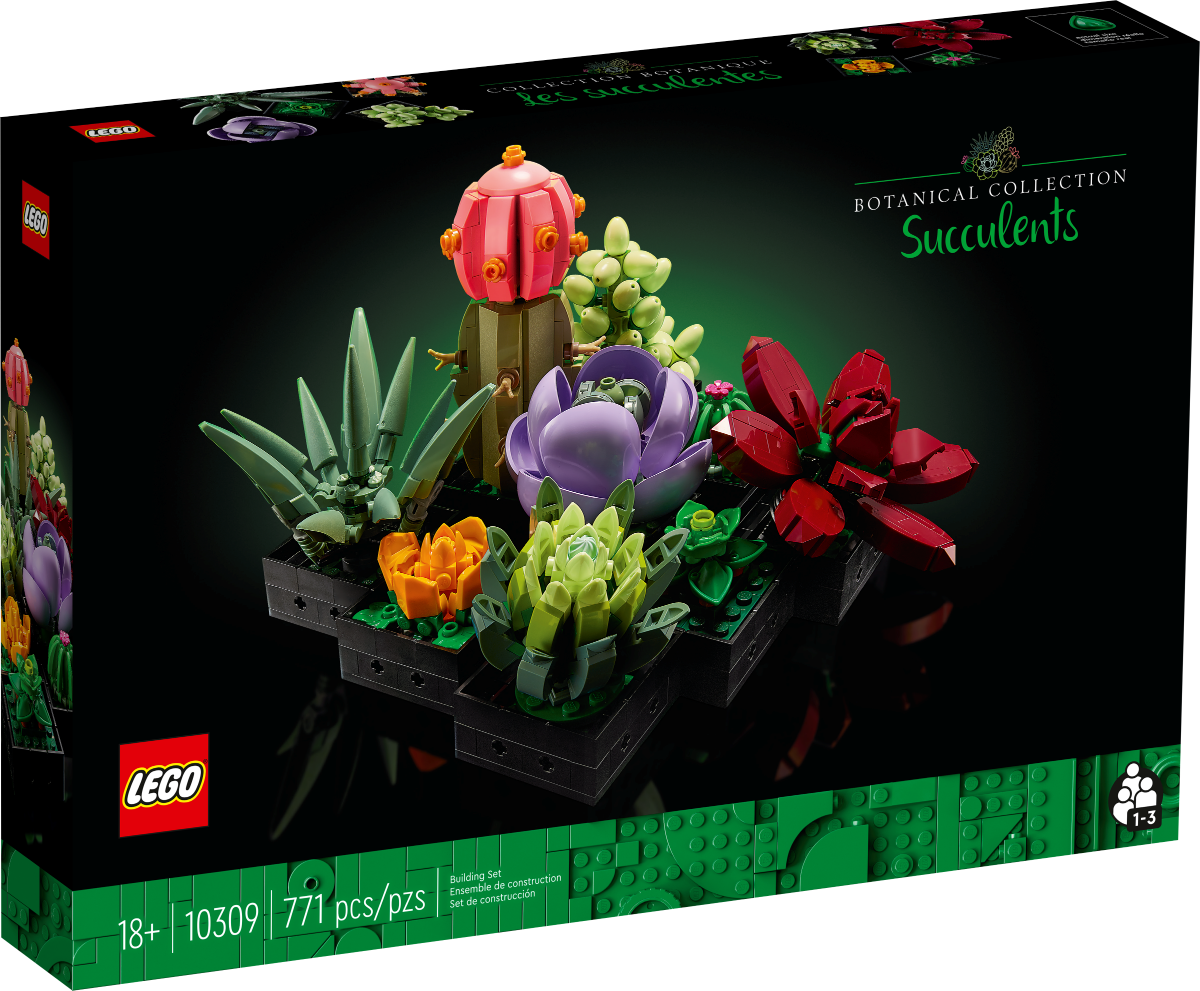 Devant de la boîte du jardin de succulentes - Lego 10309