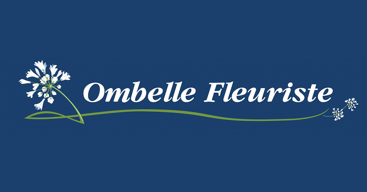 Ombelle Fleuriste