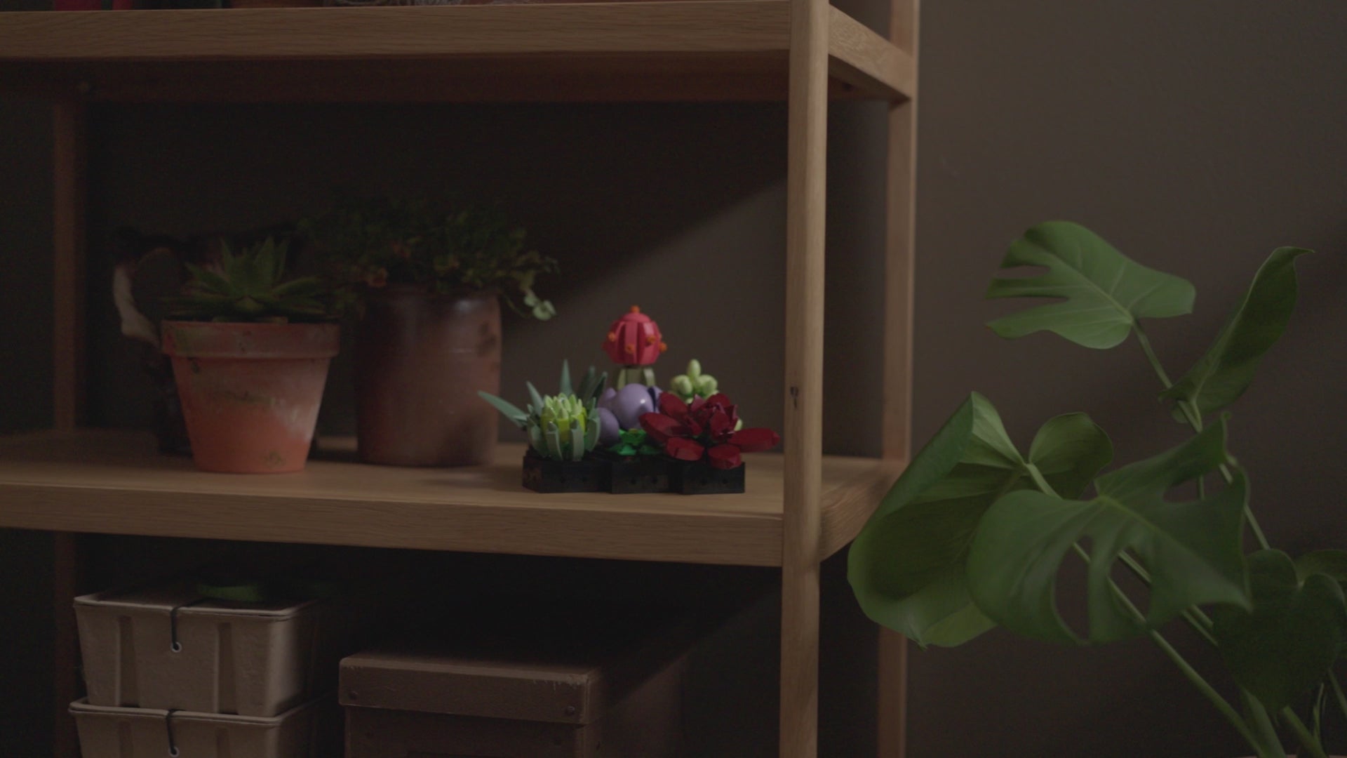 Vidéo du jardin de succulentes - Lego 10309