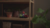 Vidéo du jardin de succulentes - Lego 10309