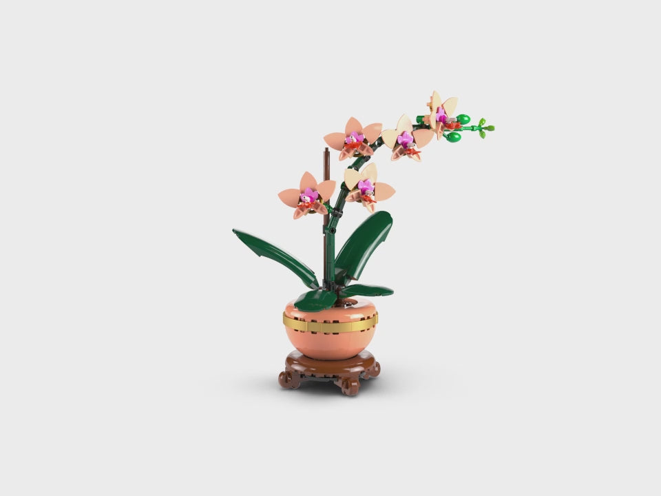 Vidéo 360 de la mini orchidée - Lego 10343