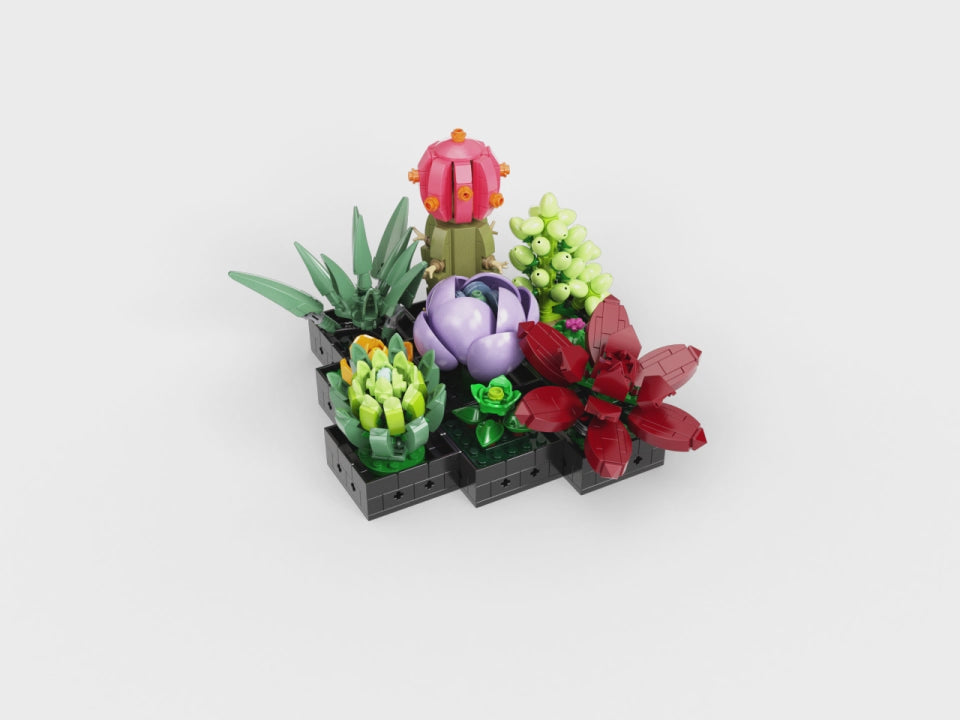 Vidéo 360 du jardin de succulentes - Lego 10309