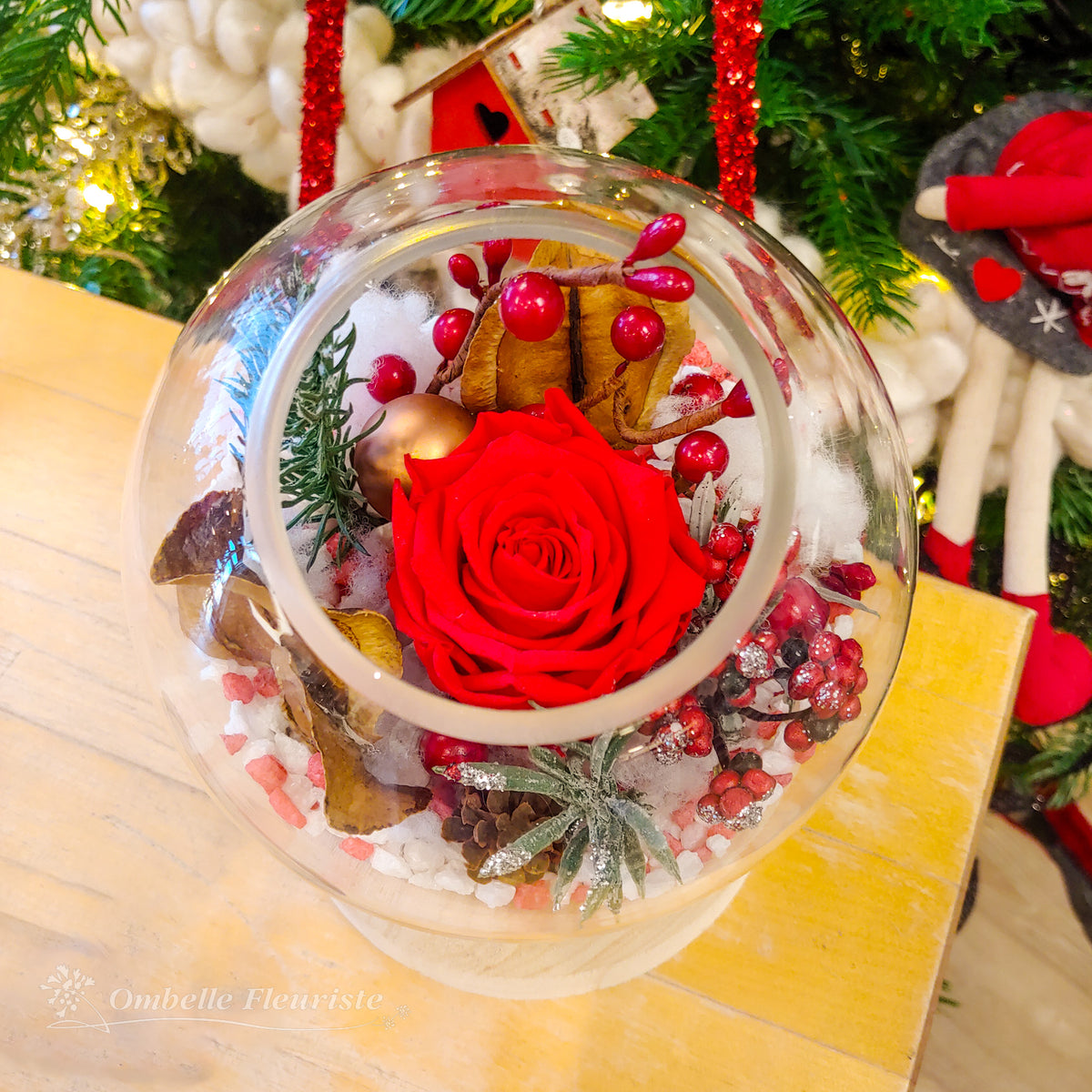 Roses éternelles de Noël - divers modèles offerts