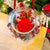 Roses éternelles de Noël - divers modèles offerts