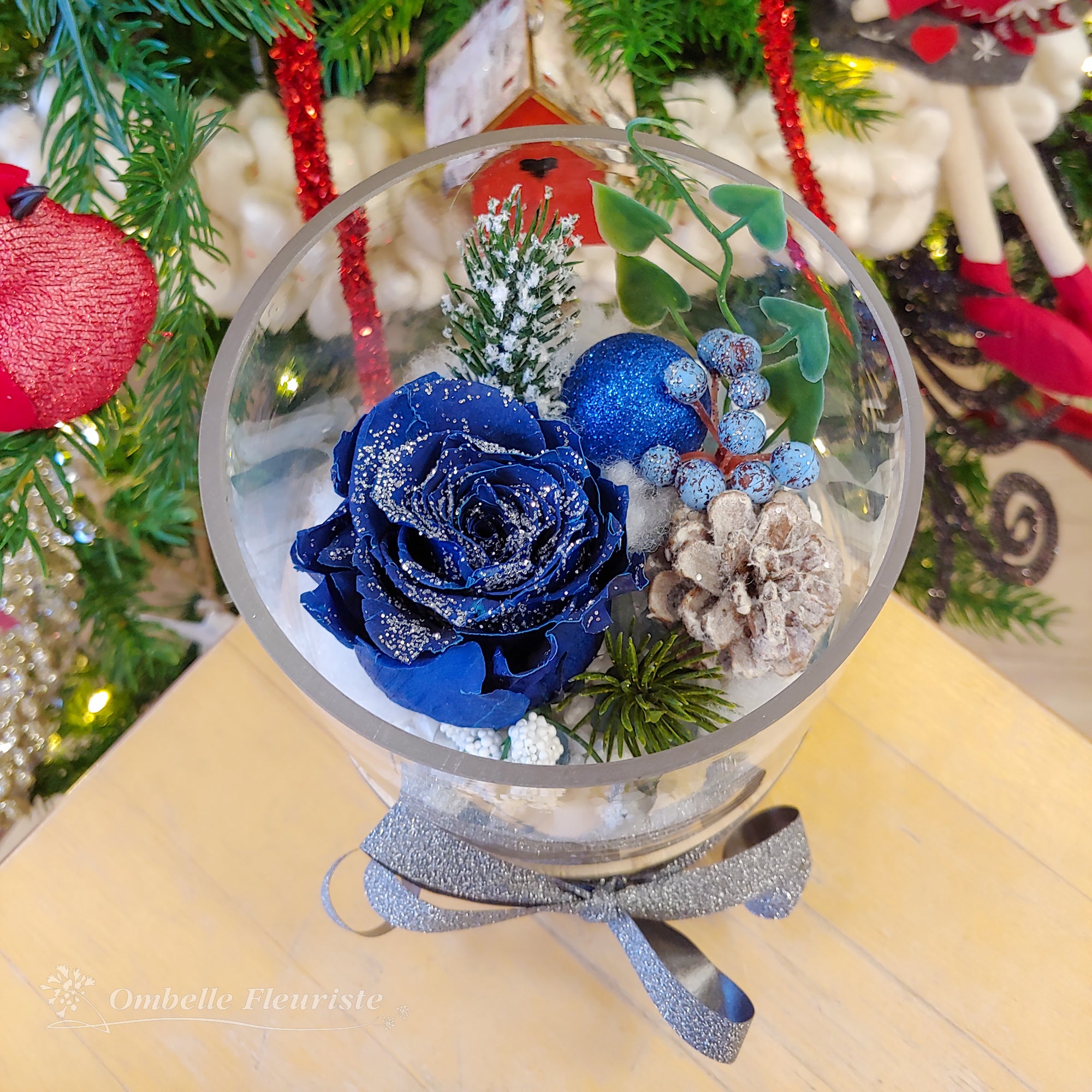 Roses éternelles de Noël - divers modèles offerts