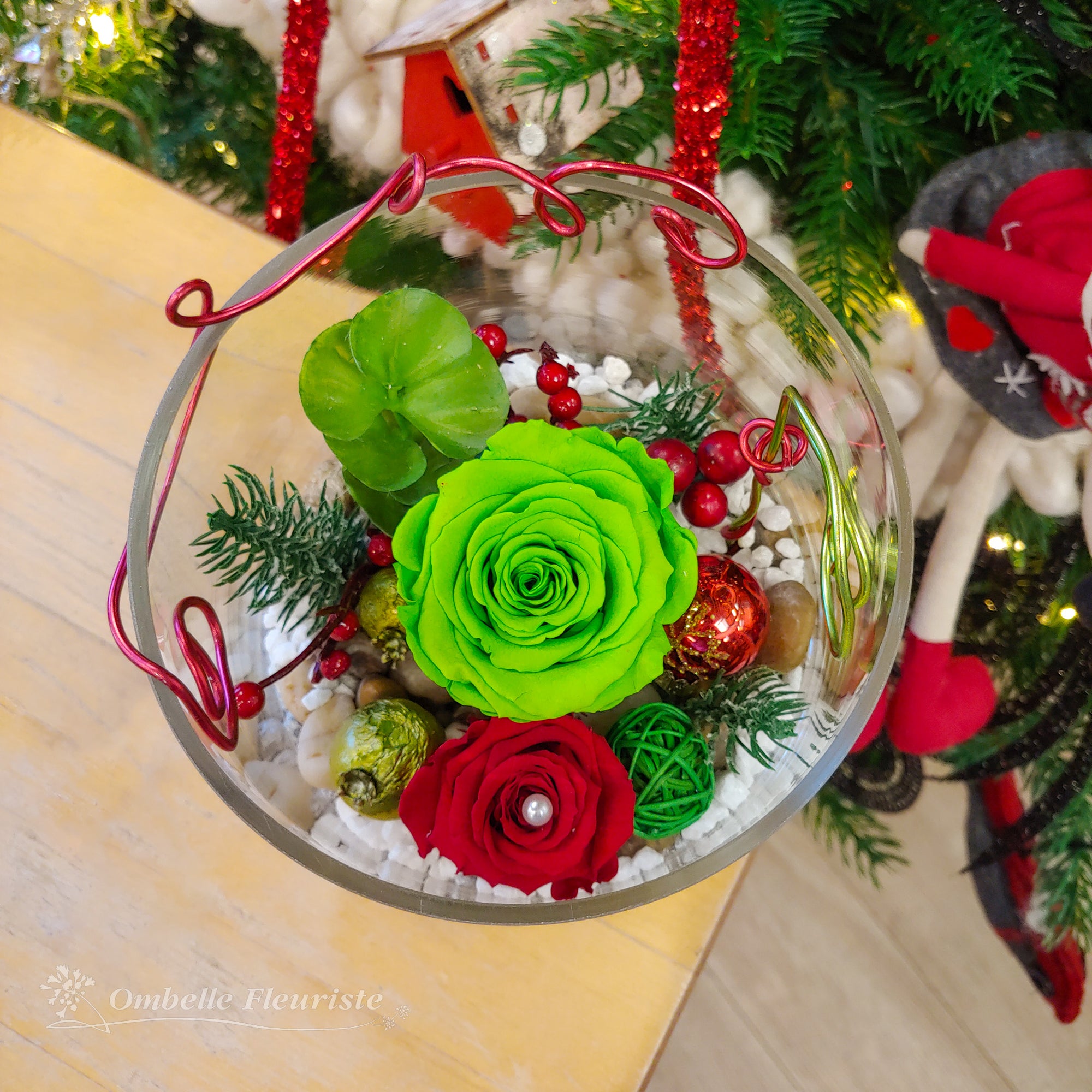 Roses éternelles de Noël - divers modèles offerts