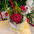 Roses éternelles de Noël - divers modèles offerts