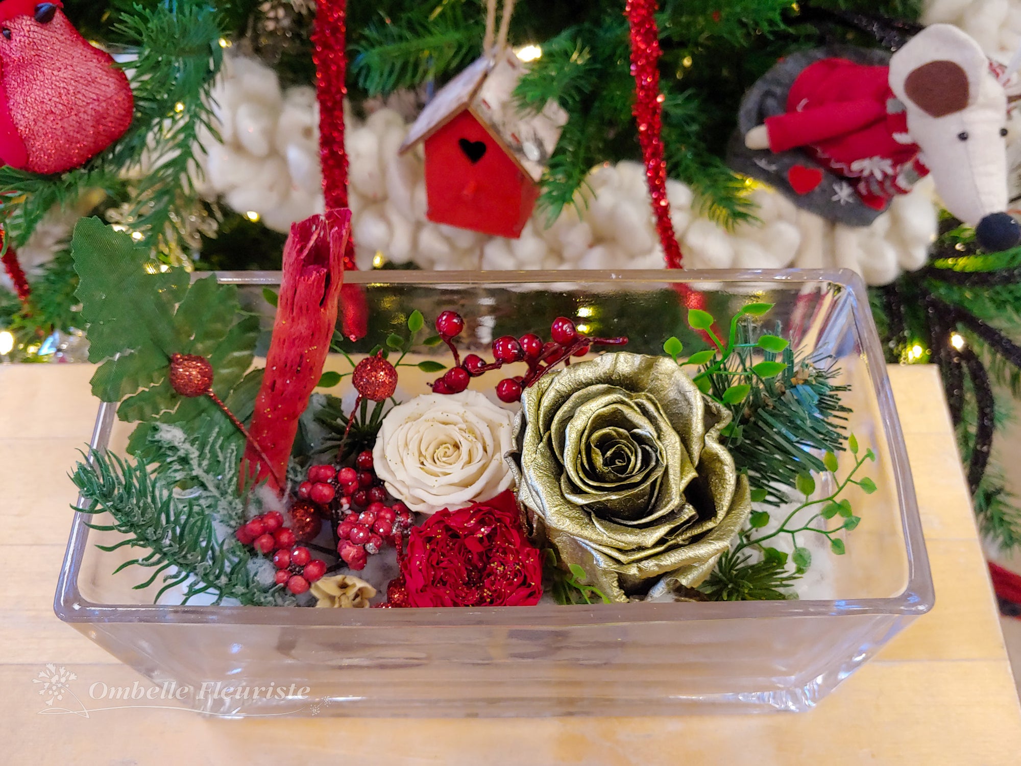 Roses éternelles de Noël - divers modèles offerts