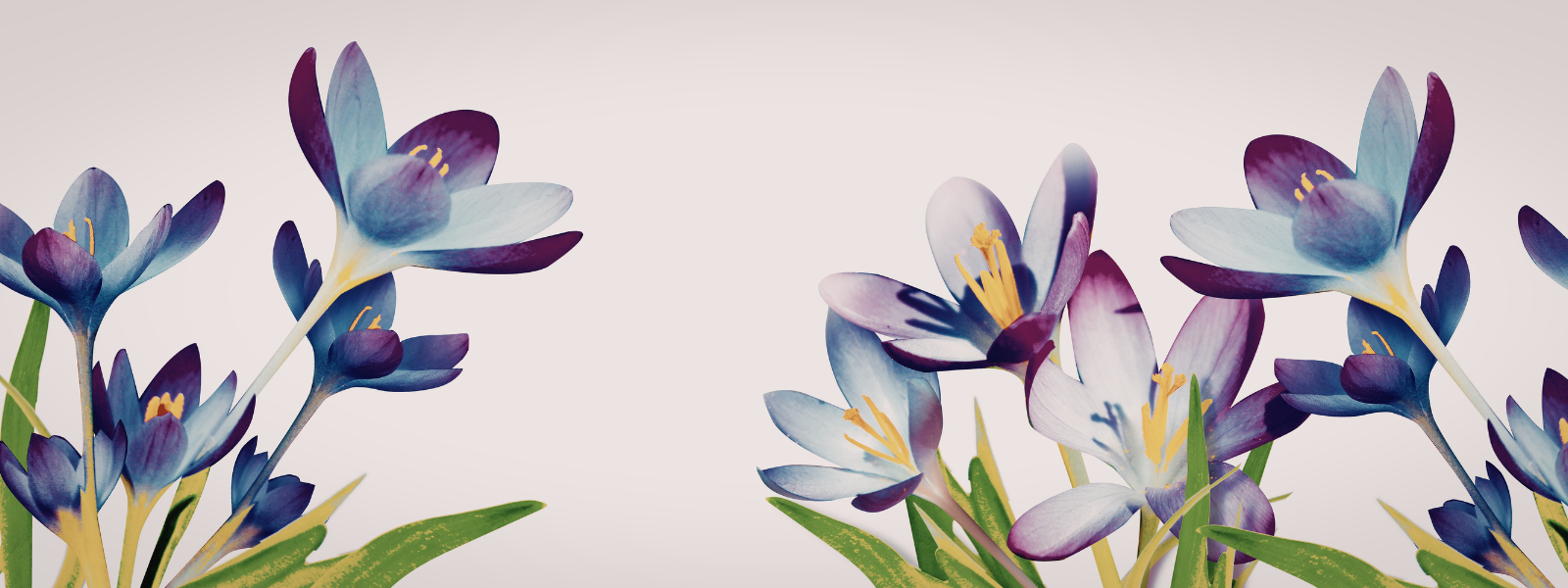 Journée internationale du droit des femmes