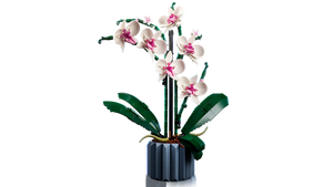 Lego - Orchidée - 10311 - Modèle une fois construit