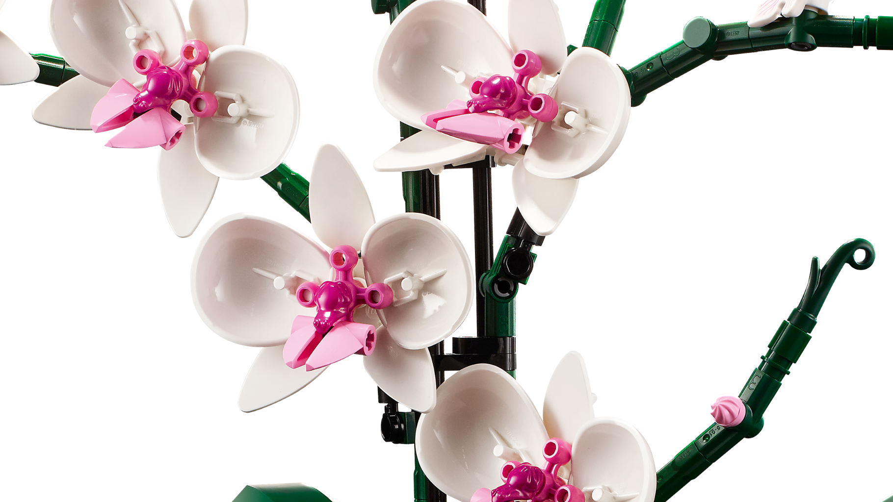 Lego - Orchidée - 10311 - Zoom sur les fleurs du modèle