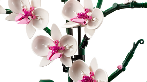 Lego - Orchidée - 10311 - Zoom sur les fleurs du modèle